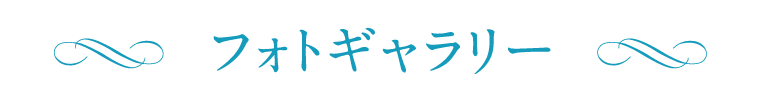 フォトギャラリー